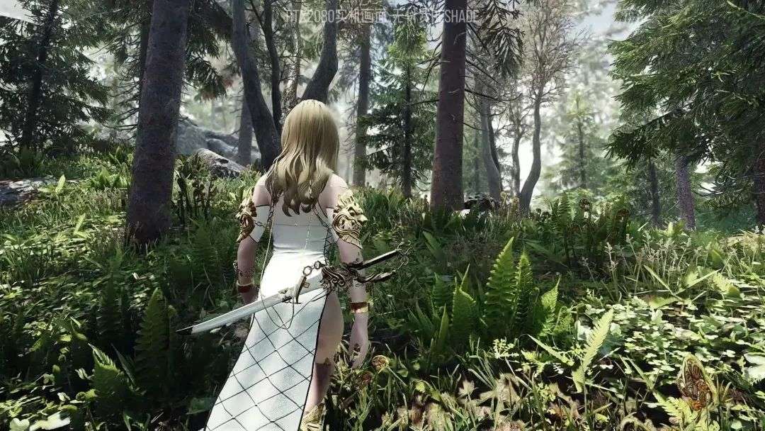 v2-187127285e5d24df1d7a15fd75f82b4f_1440w