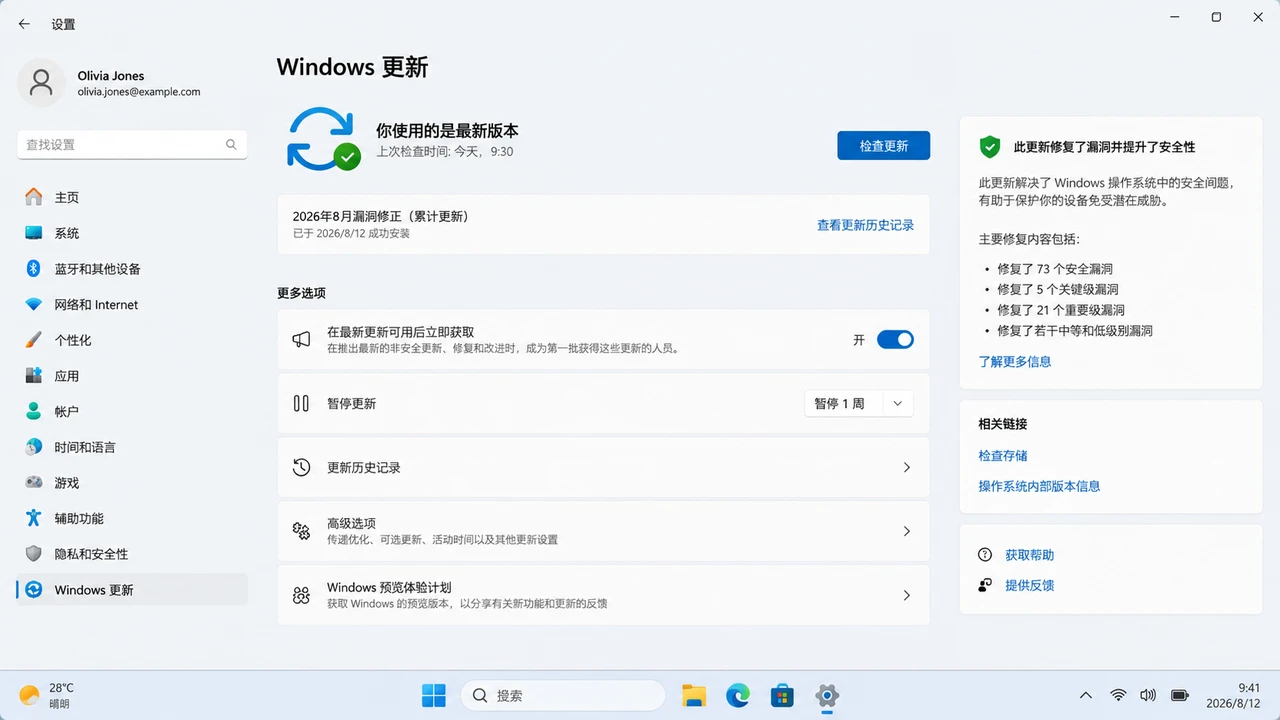 Windows系统安全更新